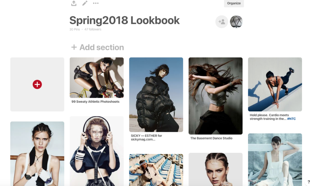 Lingerie Photoshoot Moodboard