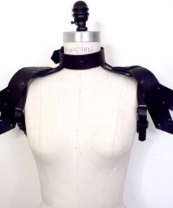 black winged shoulder harness