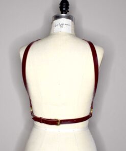 convertible body harness