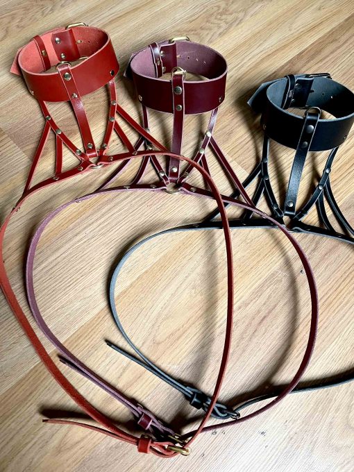 Inanna Wide Leather Collar Harness - Image 5