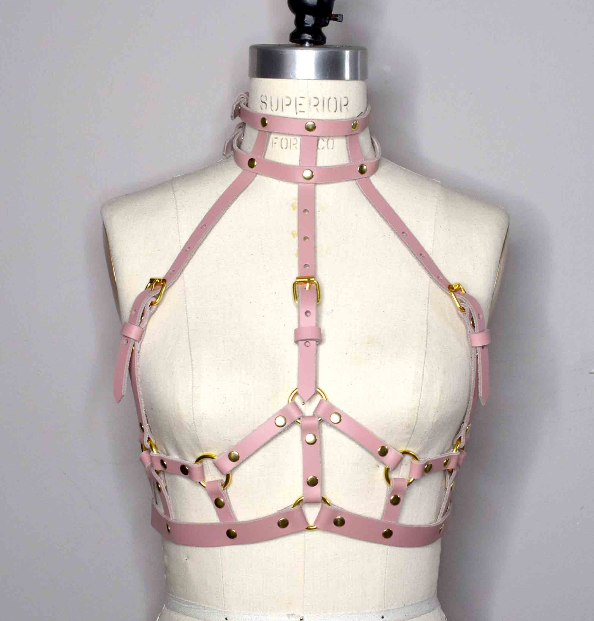 Suzy High Neck Pink Leather Harness Bra