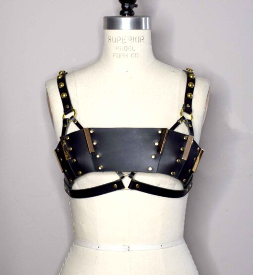 Morgana Paneled Leather Bra Top