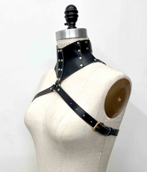 posture collar harness