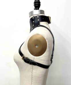 posture collar harness