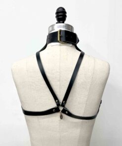 posture collar harness