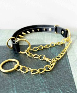 Compliance Spiked Leather Martingale Collar