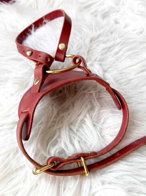 Adelaide Leather Boot Strap Harness - Image 5